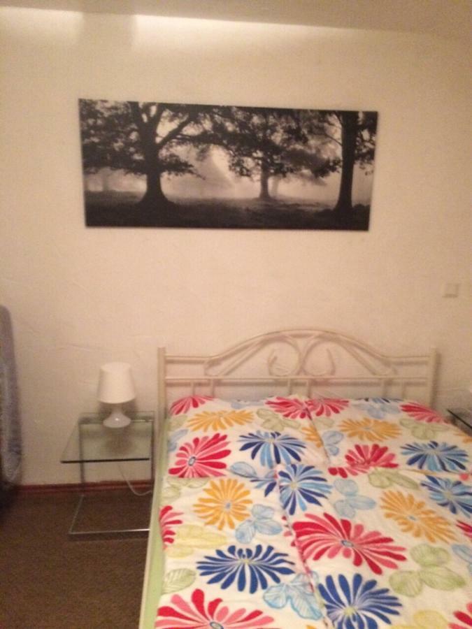 Wohnung Nur Fuer Monteure Und Handwerker Bad Krozingen Extérieur photo